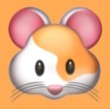 红豆传媒APPAPP应用