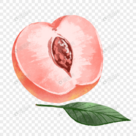 9.1短视频APP图片