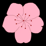 91看片软件图片